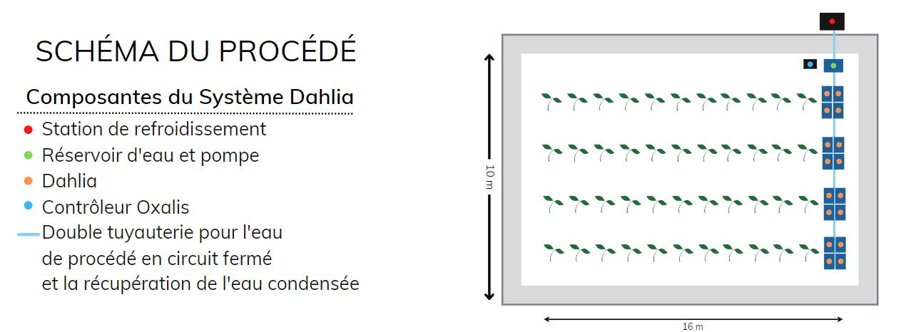 schéma du procédé